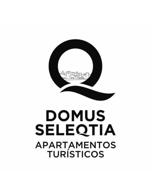 Domus Seleqtia Plaza De Santiago Lejlighed Caces Eksteriør billede